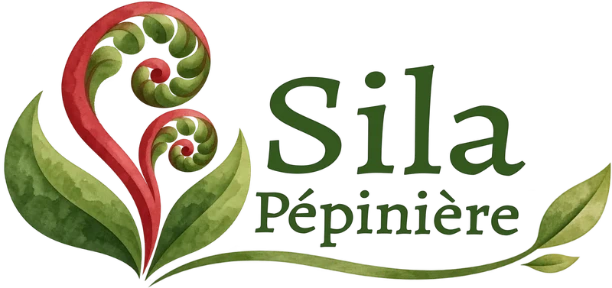 Pepinière Sila